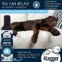 4-Legger Aloe Dog Shampoo All Natural and USDA Certified Organic Dog Shampoo - Hypoallergenic and Unscented for Sensitive Skin - USA - 8 oz