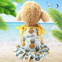 BBEART Pet Clothes,Lovely Summer Fruit Dog T-Shirt Puppy Clothes Dog Skirt Dress Cats Clothes for Small Dogs Cats Puppy