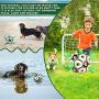 Patgoal Dog Ball, Soccer Ball for Dog, Indoor-Outdoor Interactive Dog Toys, Dog Water Toy with Grab Tabs, Dog Toys for Small Medium Dogs
