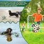 Patgoal Dog Ball, Soccer Ball for Dog, Indoor-Outdoor Interactive Dog Toys, Dog Water Toy with Grab Tabs, Dog Toys for Small Medium Dogs