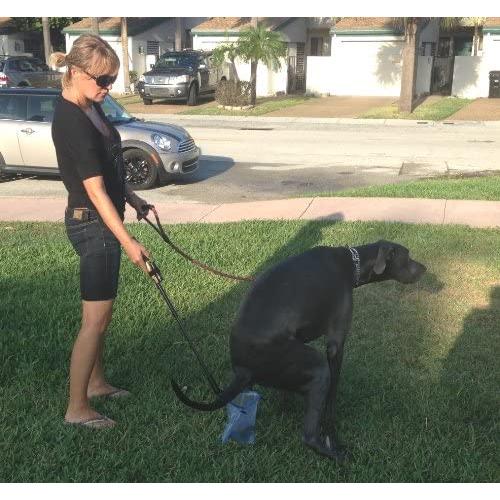 Catch-a-Poo 60 Free Bags - Pooper Scooper A Light Weight Device That Catches Dog Poo Before Hitting The Ground - No More Bending Over and Using Your Hand in Bag.