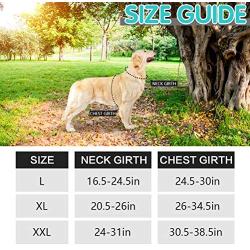 PUPTECK Dog Harness No Pull, Adjustable Reflective Oxford Outdoor Pet Vest, Easy Control Padded Handle for Medium Large Dogs
