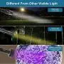 BRIONAC UV Black Light Flashlight, 128 LED 395nm Wavelength Blacklight for Pet (Cat/Dog) Urine Detection with 6AA Batteries (Not Included), Dry Stains, Scorpion and Pet Urine Detector BRIONAC UV Black Light Flashlight, 128 LED 395nm Wavelength Blacklight for Pet (Cat/Dog) Urine Detection with 6AA Batteries (Not Included), Dry Stains, Scorpion and Pet Urine Detector
