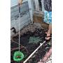 Woodys Originals Inc. Dog Poop Catcher