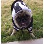 Dog Gone Cute by Lous Doggie Boutique 4 Piece Football Costume (Jersey, Pants, Helmet and Toy Ball)- Large