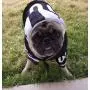 Dog Gone Cute by Lous Doggie Boutique 4 Piece Football Costume (Jersey, Pants, Helmet and Toy Ball)-Extra Small (XS)