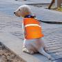VIZPET Reflective Dog Vest with Lightweight Adjustable Strap & Comfortable Material Ideal to Keep Dogs Safe While Walking & Hunting