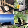 VWMYQ Cat Hammock Cat Window Perch Cat Window Seat Bed Removable Pet Resting Seat Safety Cat Bed Suction Cups withWall Corner and Three Little mice