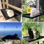 VWMYQ Cat Hammock Cat Window Perch Cat Window Seat Bed Removable Pet Resting Seat Safety Cat Bed Suction Cups withWall Corner and Three Little mice VWMYQ Cat Hammock Cat Window Perch Cat Window Seat Bed Removable Pet Resting Seat Safety Cat Bed Suction Cups withWall Corner and Three Little mice