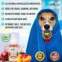 Handy Hound Coconut Ginger Almond Foaming No Rinse Shampoo for Dogs or Cats | All-Natural Dry Waterless Pet Shampoo to Safely Remove Pet Odors | 9oz/266ml, Made in USA.