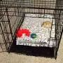 Bone Dry Embossed Bone Print Pet Blanket