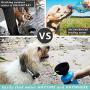 lesotc Pet Water Bottle for Dogs, Dog Water Bottle Foldable, Dog Travel Water Bottle, Dog Water Dispenser, Lightweight & Convenient for Travel BPA Free
