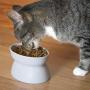 Kitty City Raised Cat Food Bowl Collection, Stress Free Pet Feeder and Waterer