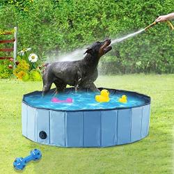 WESTERN HOME WH Foldable Dog Pools ，Plastic Kiddie Pool & Collapsible Dog Swimming Pools for Large Dogs, Portable Bathtub Pet Swimming Pool