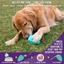 Chew King Dog Box - Durable Fetch Balls, Premium Treater and Chewing Toy Collection, Dog Toy Git Box