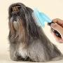 Glendan Dog Brush & Cat Brush- Slicker Pet Grooming Brush- Shedding Grooming Tools