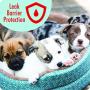 Fetchers Puppy Pads with Baking Soda, 30 Count, Large, 23 by 24 Inches