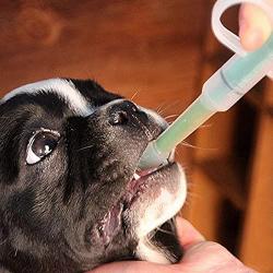 Easyinsmile Pet Medical Feeding Kit Pet Pill/Tablet Syringe with Soft Tip for Dog Puppy Cat Random Color