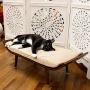 Penn-Plax Cat Walk Furniture: Luxury Lounger Cat Bed – Mid-Century Modern – For All Size Cats - Brown (CATFF18)