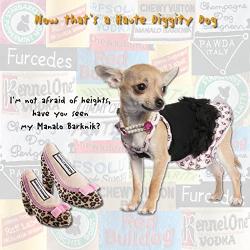 Haute Diggity Dog Fashion Hound Collection | Unique Squeaky Parody Plush Dog Toys – Strutting on The Dogway!