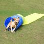 Pet Agility Tunnel Dog Play Outdoor Training and Exercise Equipment for Dog, Puppy, Cat, Kitten, Ferret, and Rabbit 16FT Long Large Obstacle Course for Pets, with Carrying Case