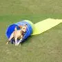 Pet Agility Tunnel Dog Play Outdoor Training and Exercise Equipment for Dog, Puppy, Cat, Kitten, Ferret, and Rabbit 16FT Long Large Obstacle Course for Pets, with Carrying Case Pet Agility Tunnel Dog Play Outdoor Training and Exercise Equipment for Dog, Puppy, Cat, Kitten, Ferret, and Rabbit 16FT Long Large Obstacle Course for Pets, with Carrying Case
