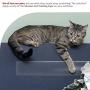 XFasten Anti-Scratch Cat Training Tape, Clear, 2.5-Inches x 15 Yards