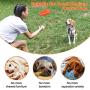 Squeaky Dog Toys for Aggressive Chewers: Rubber Puppy Chew Ball with Squeaker, Almost Indestructible Durable Interactive Pet Toy for Medium Large Breed Dogs Puppies Squeaky Dog Toys for Aggressive Chewers: Rubber Puppy Chew Ball with Squeaker, Almost Indestructible Durable Interactive Pet Toy for Medium Large Breed Dogs Puppies