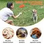 Squeaky Dog Toys for Aggressive Chewers: Rubber Puppy Chew Ball with Squeaker, Almost Indestructible Durable Interactive Pet Toy for Medium Large Breed Dogs Puppies