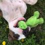 SmartPetLove Tender-Tuffs - Little Green Dino