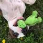 SmartPetLove Tender-Tuffs - Little Green Dino SmartPetLove Tender-Tuffs - Little Green Dino