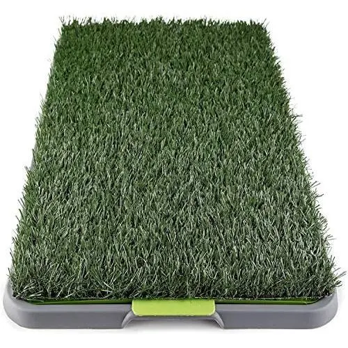 Dog Grass Pee Pad Potty - Artificial Grass Patch for Dogs - Pet Litter Box Training Pads Best for Puppy Indoor Turf - Fresh Fake Porch Lawn Toilet Mat Bathroom Tray - Doggie Trainer Balcony Patio Mats Dog Grass Pee Pad Potty - Artificial Grass Patch for Dogs - Pet Litter Box Training Pads Best for Puppy Indoor Turf - Fresh Fake Porch Lawn Toilet Mat Bathroom Tray - Doggie Trainer Balcony Patio Mats