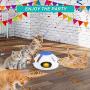 WINGPET Interactive Cat Tracks Toy Food Dispenser Toys, Automatic Motion Cat Toy with Spinning Worm Tail & Catnip Moving Ball Random Rotating Hunting Chasing Exercising Needs