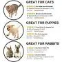 Prosper Pet Cat Tunnel - Collapsible 3 Way Play Toy - Tube Fun for Rabbits, Kittens, and Dogs Prosper Pet Cat Tunnel - Collapsible 3 Way Play Toy - Tube Fun for Rabbits, Kittens, and Dogs