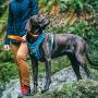 Kurgo Dog Harness for Large, Medium & Small Dogs