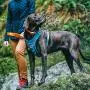 Kurgo Dog Harness for Large, Medium & Small Dogs Kurgo Dog Harness for Large, Medium & Small Dogs