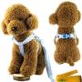 Wiz BBQT Adjustable Breakaway Flower Printed Dog Cat Pet Harness and Leash Set for Dogs Cats Pets
