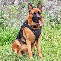 rabbitgoo Escape Proof Dog Harness, Soft Padded Full Body Pet Harness, Reflective Adjustable No Pull Vest with Lift Handle and Lesh Clip for Large Dogs Walking Hiking Training