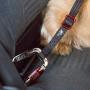 Curli Car Safety Belt Dog Car Seat Belts Nylon Extra Strong Adjustable Length Car Seat Belt for Dogs