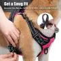 PoyPet No Pull Dog Harness, Reflective Vest Harness with 2 Leash Attachments and Easy Control Handle for Small Medium Large Dog PoyPet No Pull Dog Harness, Reflective Vest Harness with 2 Leash Attachments and Easy Control Handle for Small Medium Large Dog