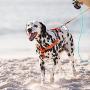Rogz Utility Extra Large 1-Inch Reflective Lumberjack Adjustable Dog Step-in-Harness