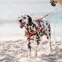 Rogz Utility Extra Large 1-Inch Reflective Lumberjack Adjustable Dog Step-in-Harness Rogz Utility Extra Large 1-Inch Reflective Lumberjack Adjustable Dog Step-in-Harness