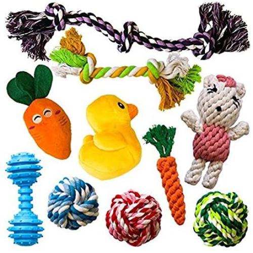 AMZpets 10 Dog Toys for Small Dogs and Puppies. Squeaky Toys | Rope Toys | Plush Games | Chewing Ropes | Balls | Rubber Bone | Carry Bag. Variety Playing Toys Set for Toss and Tug Play.