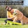 Hyper Pet K9 Kannon K2 Ball Launcher Interactive Dog Toys (Load and Launch Tennis Balls for Dogs To Fetch) [Best Dog Toys for Small and Large Dogs - Available in 2 Sizes]