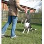 The Company of Animals Pet Corrector