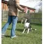 The Company of Animals Pet Corrector The Company of Animals Pet Corrector