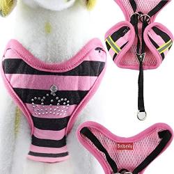 BroBear Pet Stripes Vest Mesh Harness and Leash Set with Rhinestones for Cats & Small Dogs