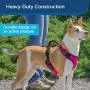 PetSafe EasySport Dog Harness, Adjustable Padded Dog Harness with Control Handle and Reflective Piping PetSafe EasySport Dog Harness, Adjustable Padded Dog Harness with Control Handle and Reflective Piping