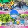 Dog Pools for Large Dogs - Kiddie Pool for Dog Swimming Pools Portable Bathtub Cute Dog Bath Tubs for Dogs, Cats and Kids