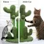 PAWZ Road Cat Scratching Post Cactus Cat Scratcher Featuring with 3 Scratching Poles and Dangling Ball